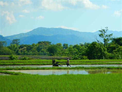 Bukid Meaning .